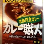 守屋大志の毎日カレー生活