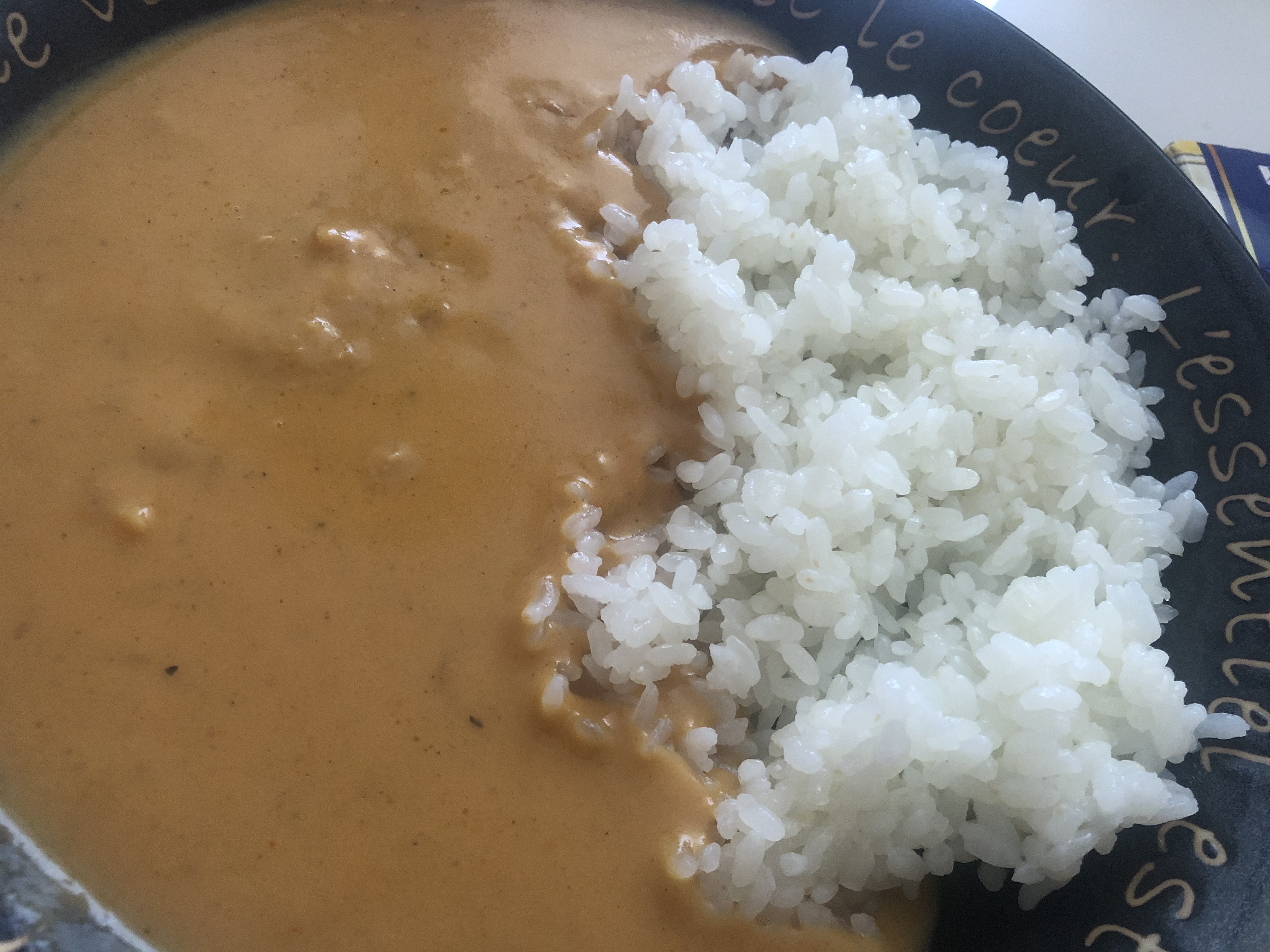 守屋大志のレトルトカレー