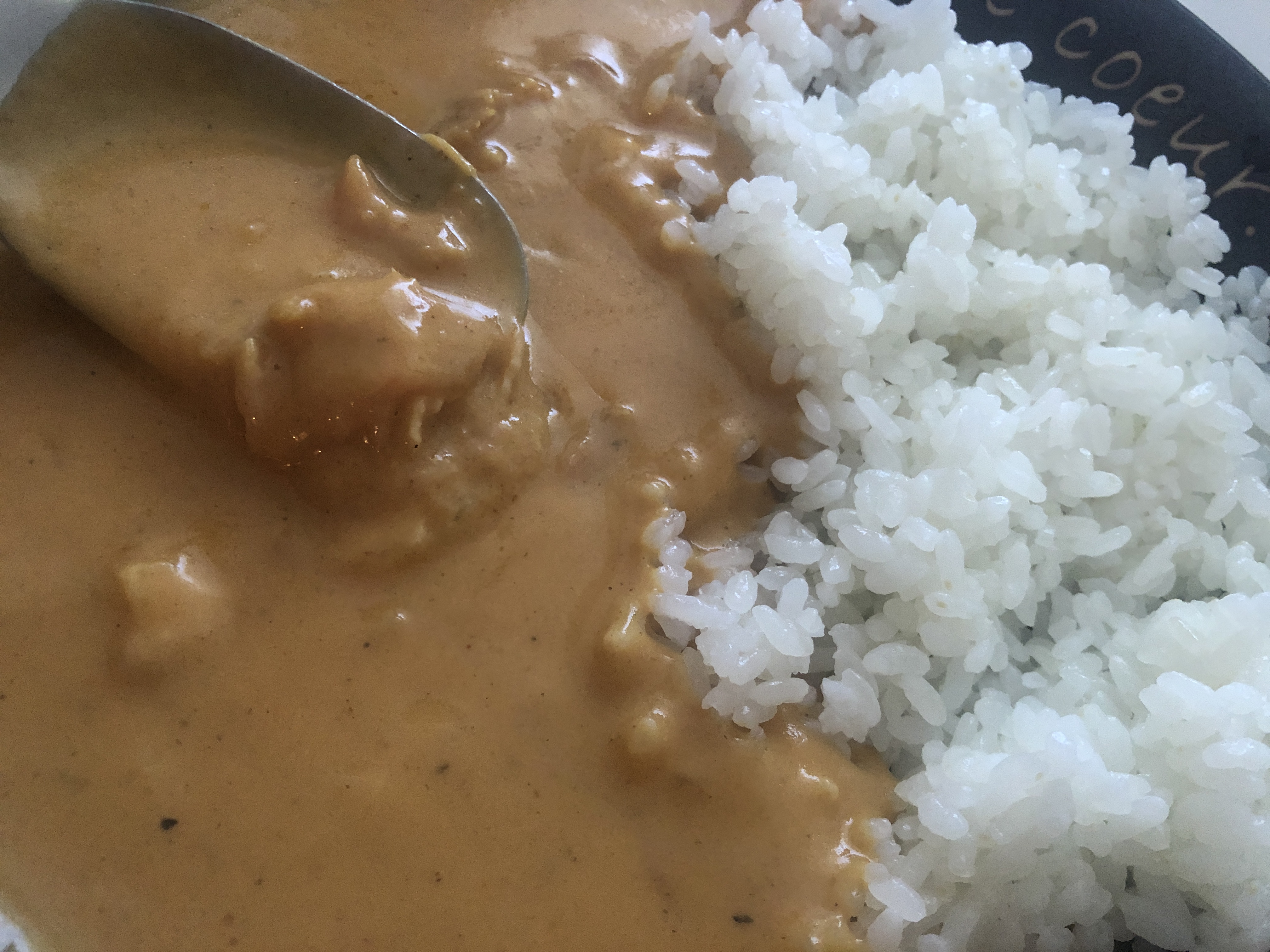 守屋大志のレトルトカレー