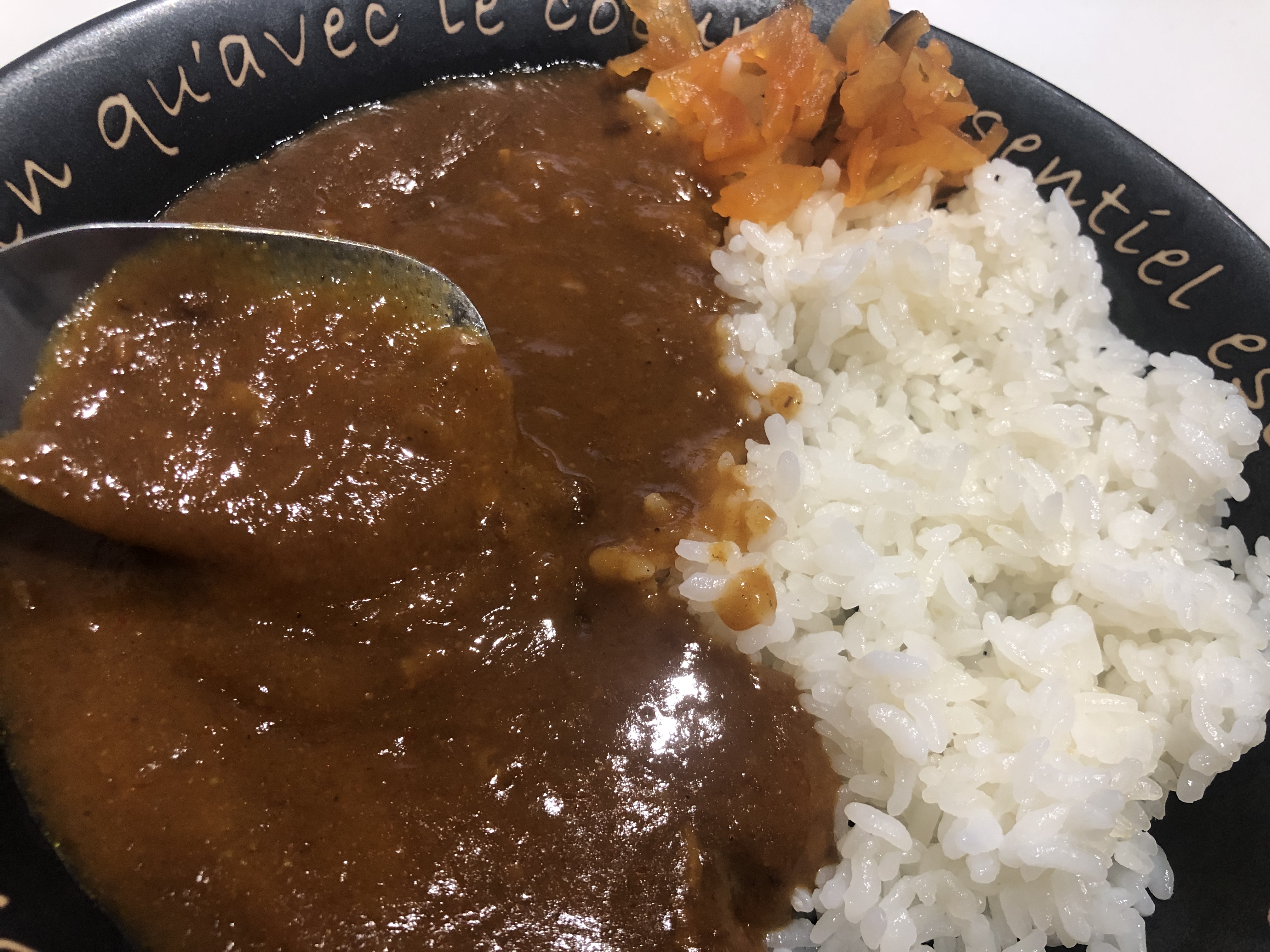 守屋大志のレトルトカレー