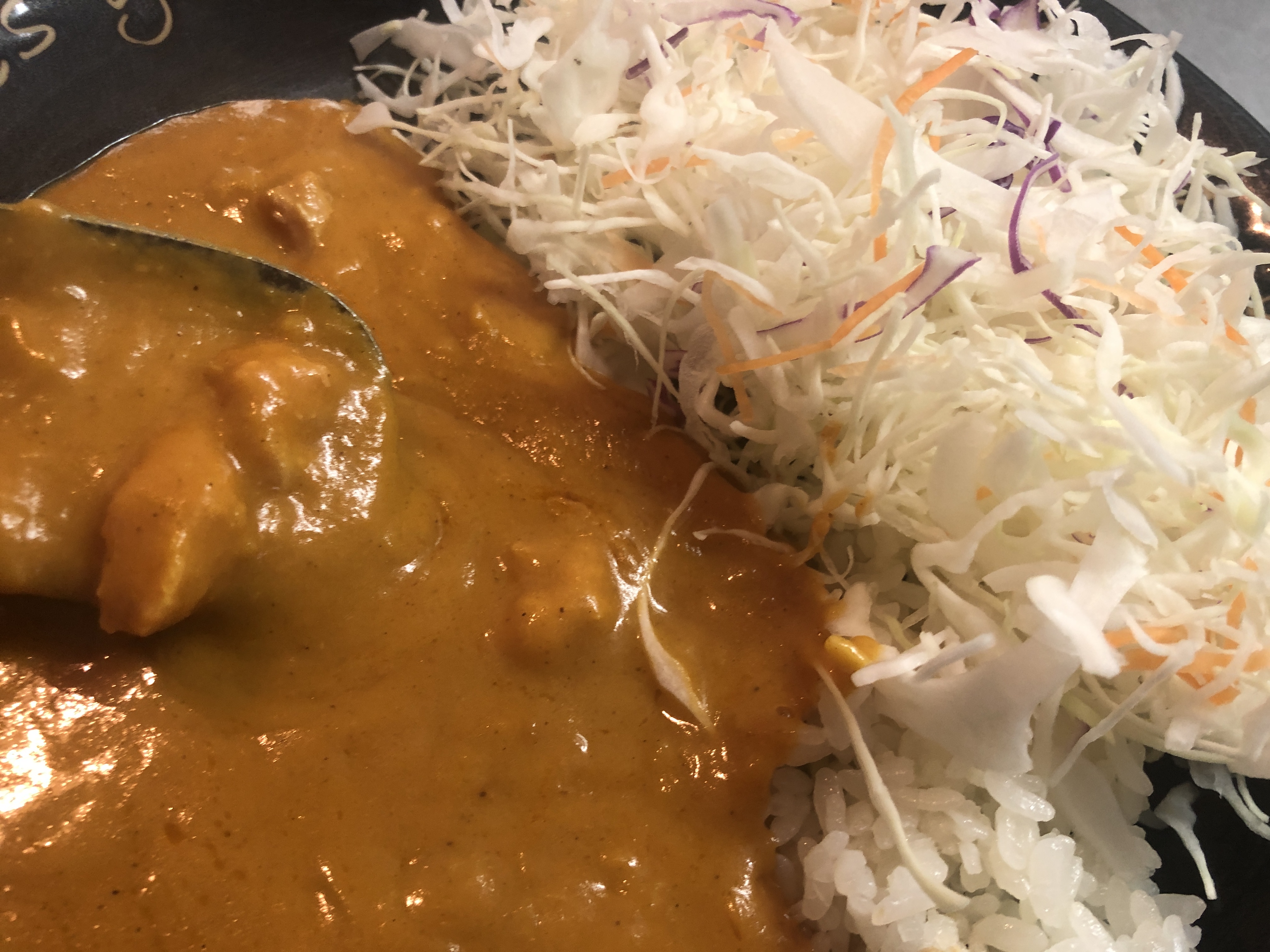 守屋大志のレトルトカレー