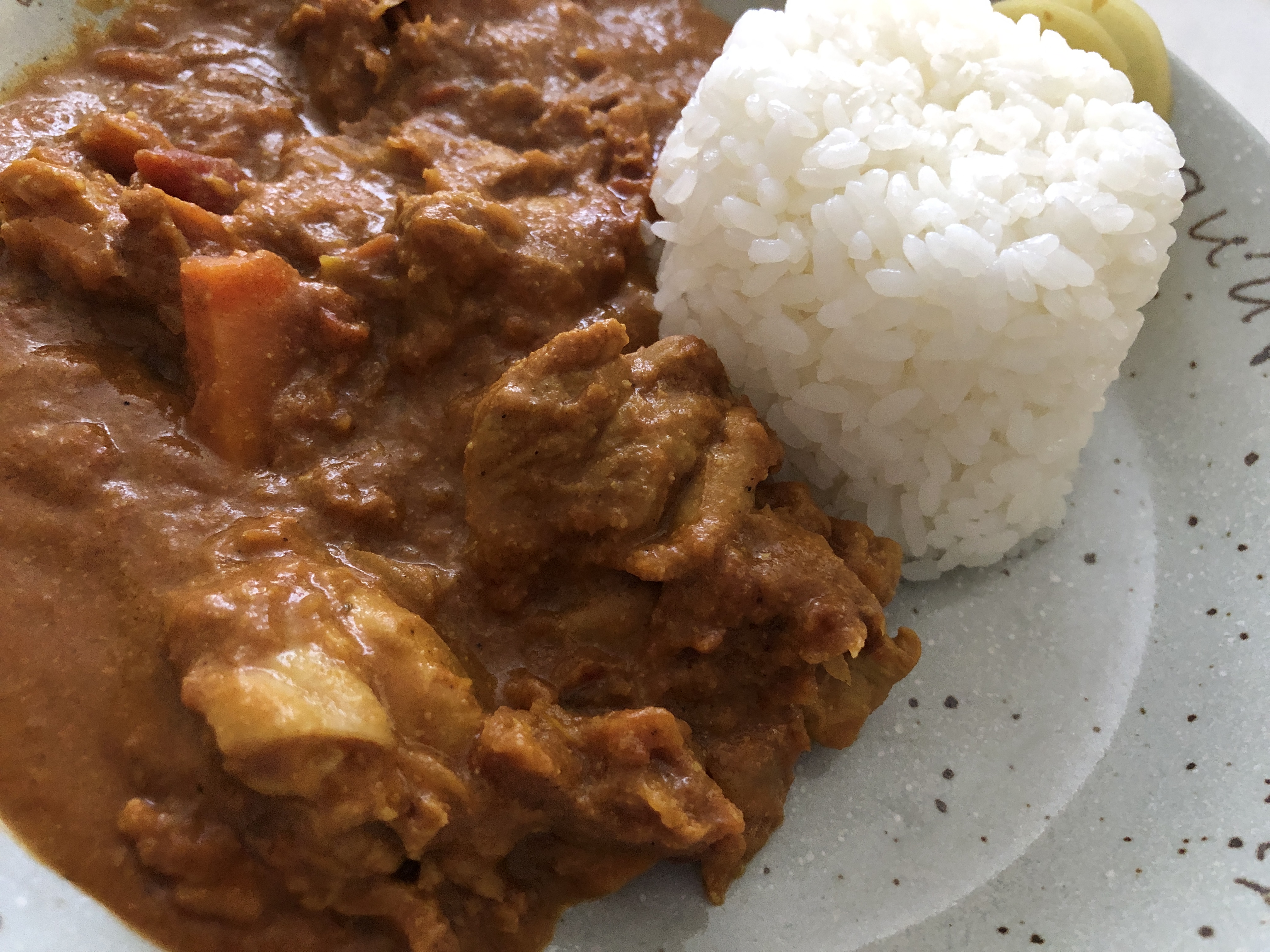 守屋大志の冷凍チキンカレー
