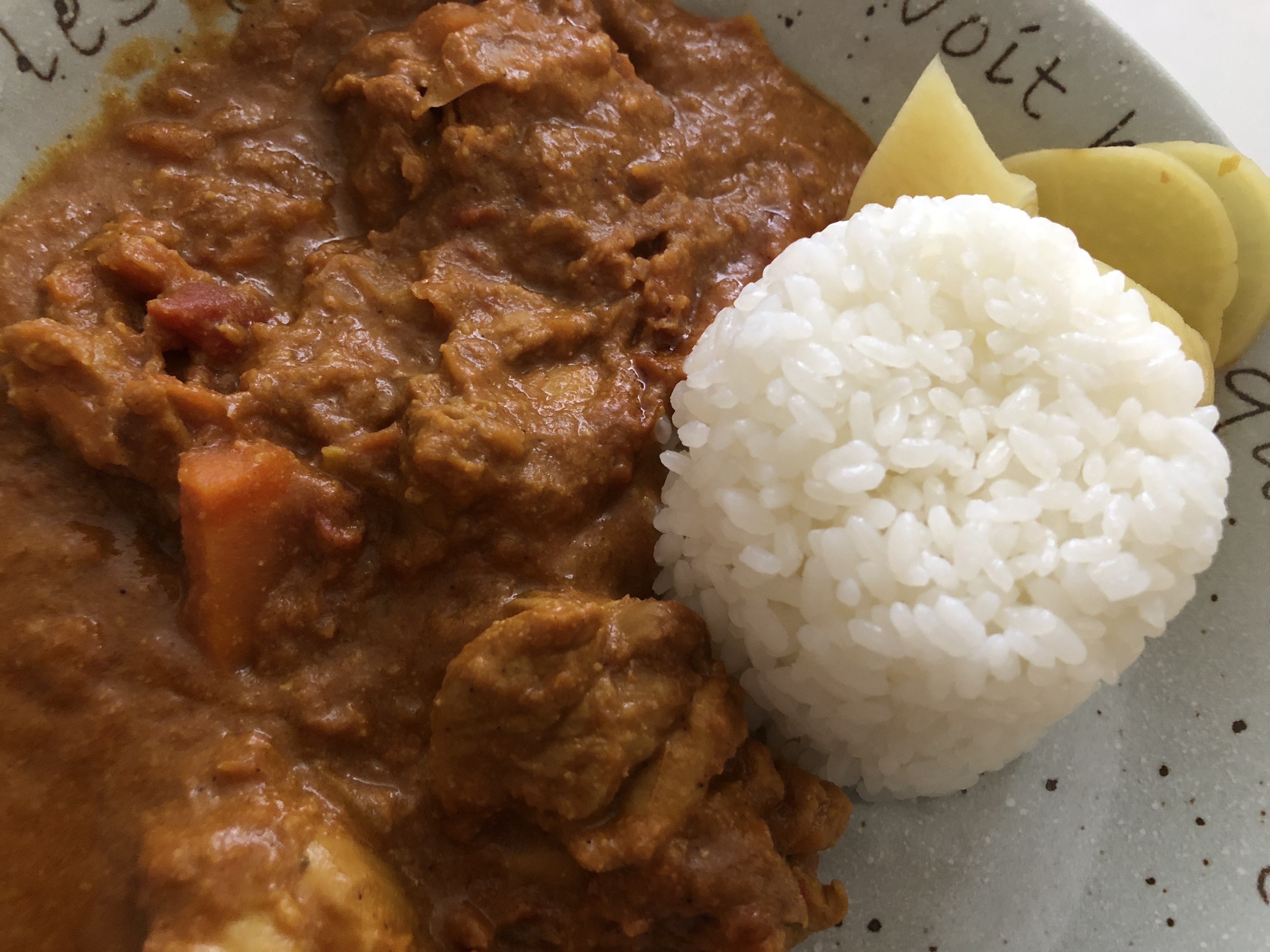 守屋大志の冷凍チキンカレー